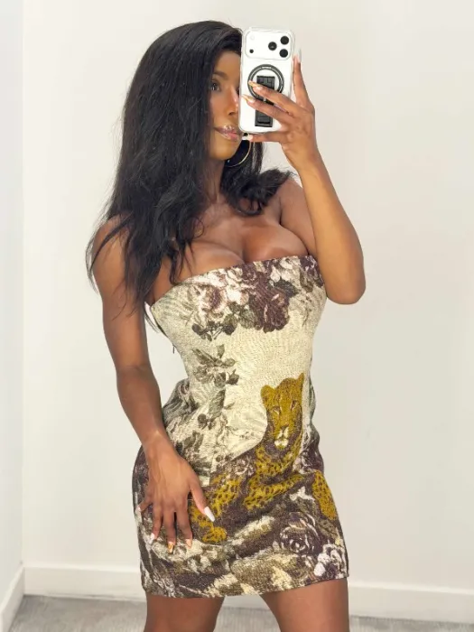 L'Agence Mini Dress