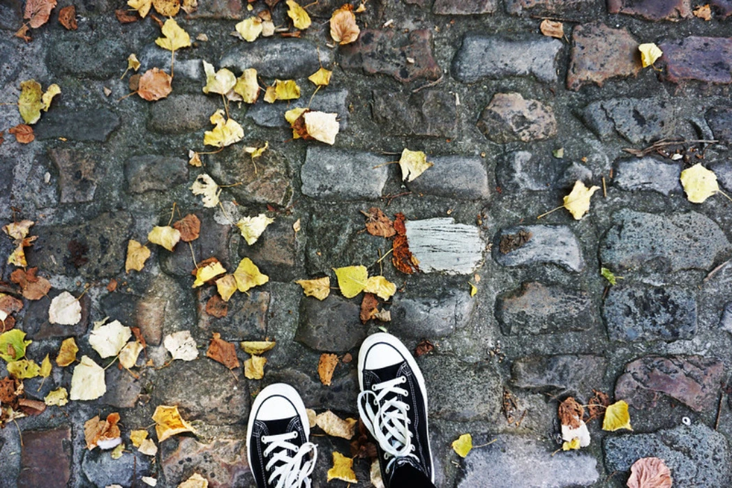 Chuck Taylor All Star Canvas (85)
