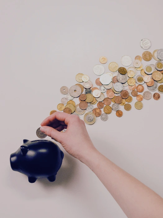 New piggy bank (50)