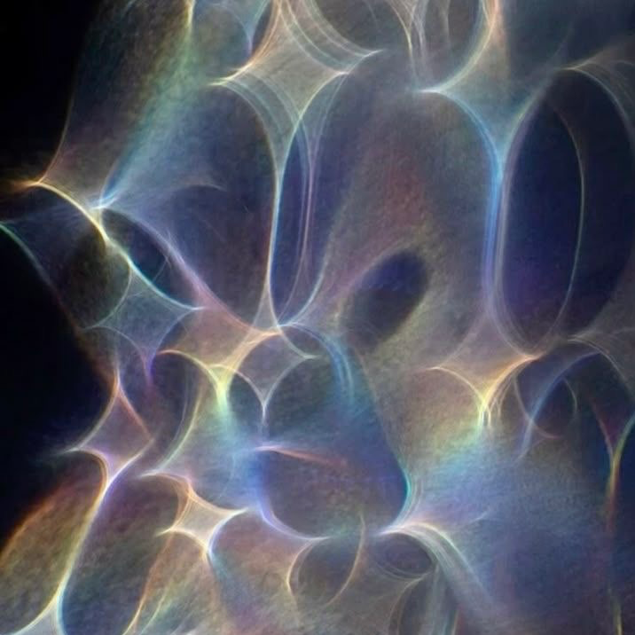 mommy’s favorite ✦