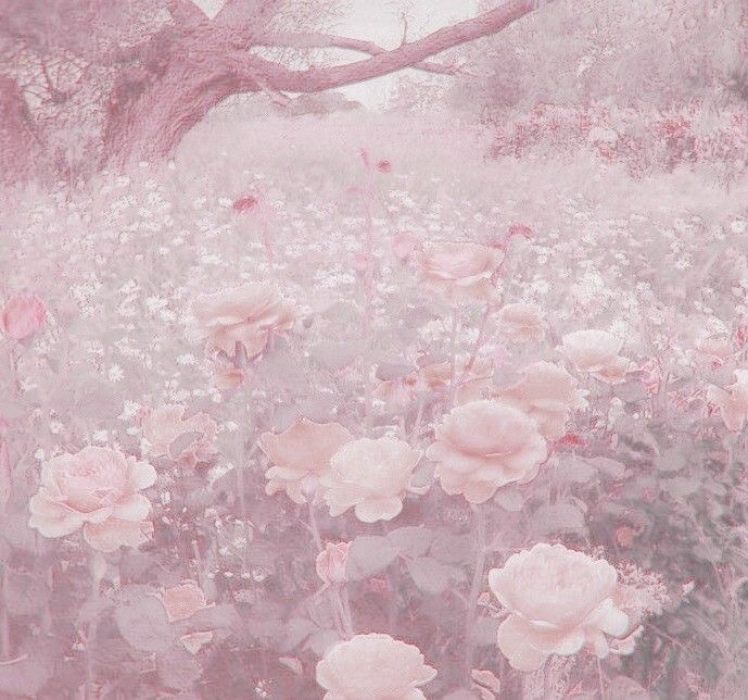 Take Candy to Dinner 🕯️ 