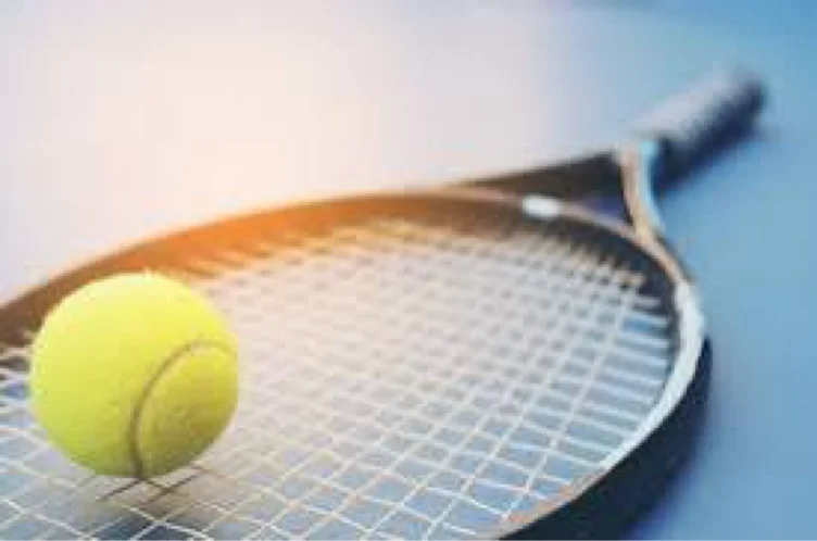 Professional tennis lesson. 