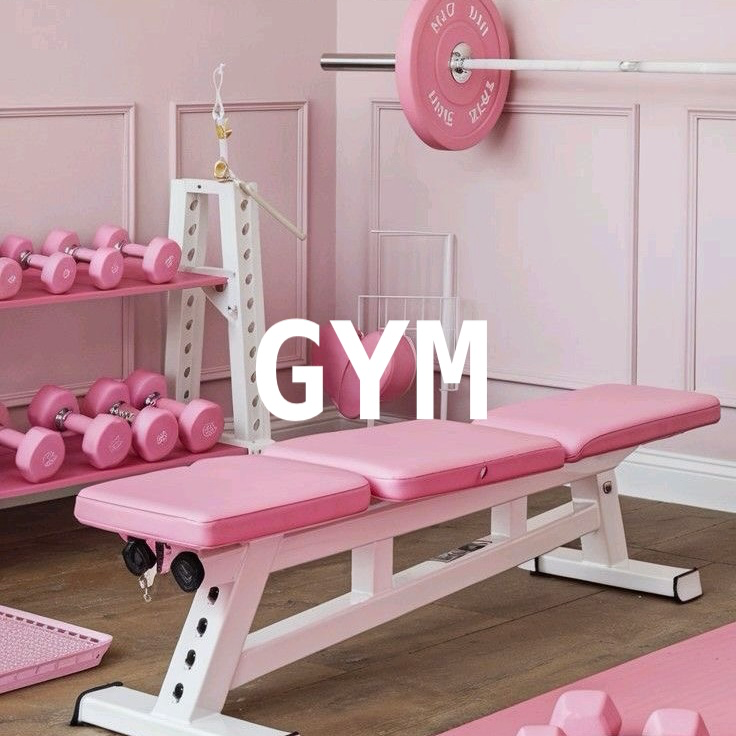 Monthly gym subscription