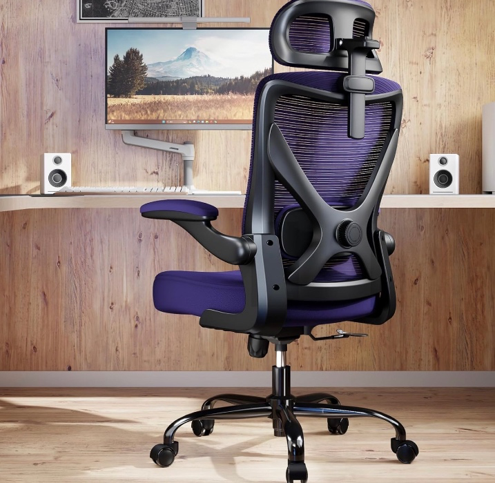 Ergonomic Office Chair