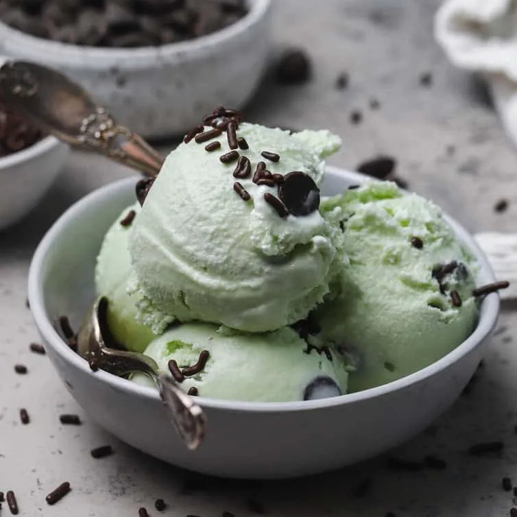 choco mint ice cream (box)