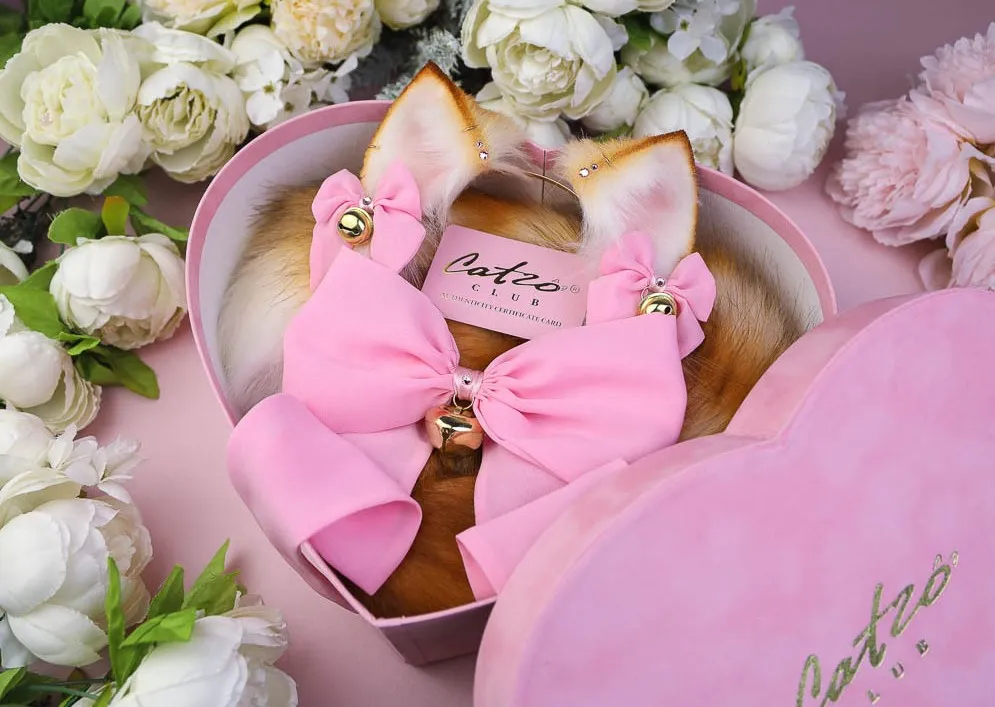 BLONDE TABBY KITTEN set
