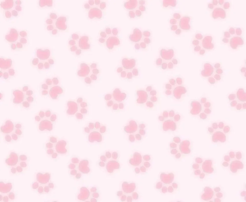 🩷 30 min. lunch 🩷