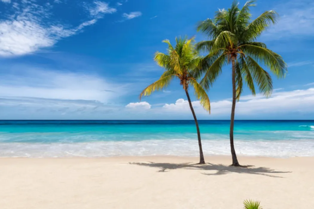 Donate to my vacation