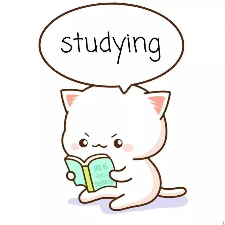 Studying Books