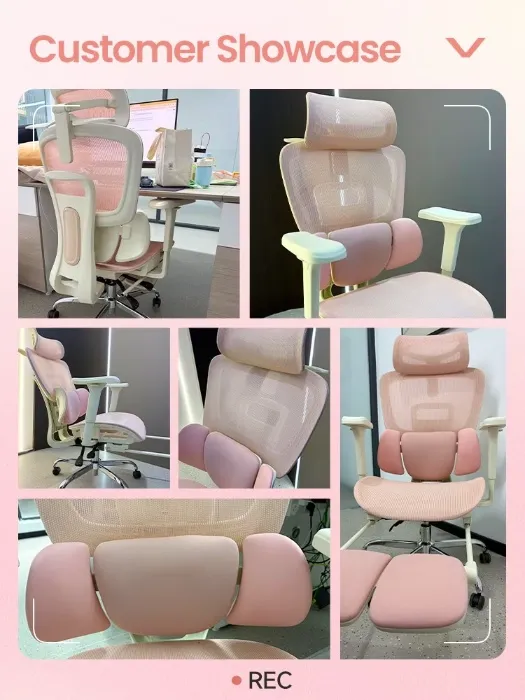 Ergonomic Chair w/ Lumbar Support 