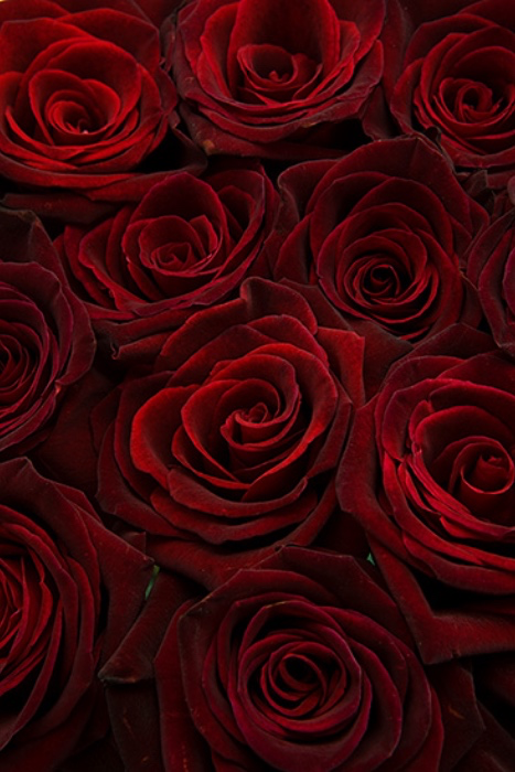 Valentine appreciation