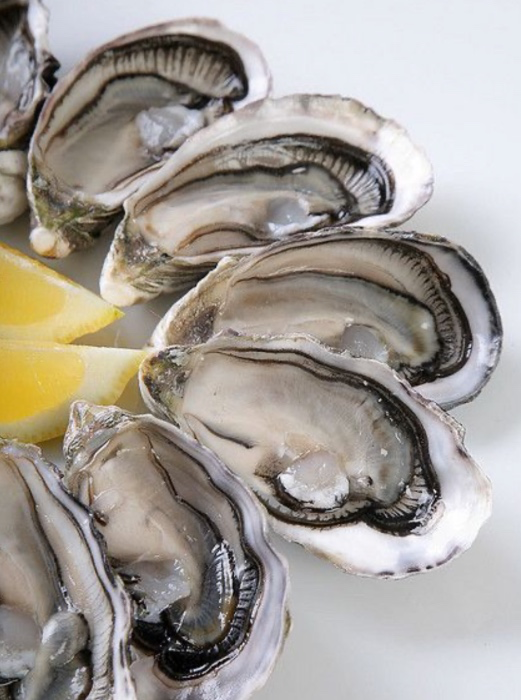 Oyster Fund 🦪