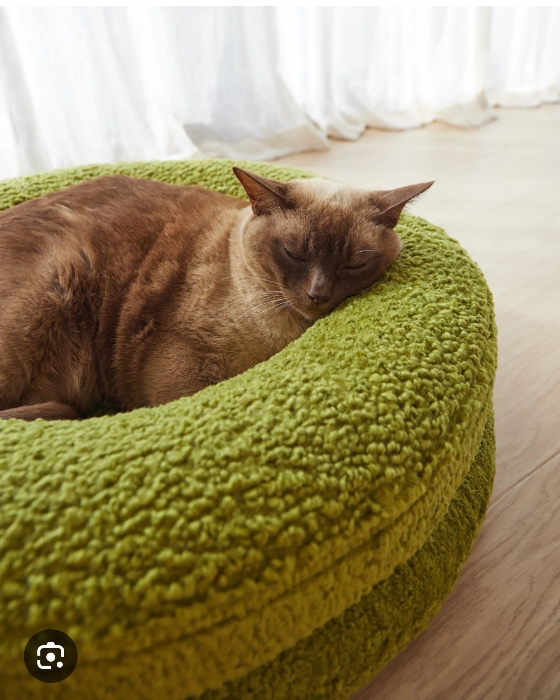 Cat bed 😻