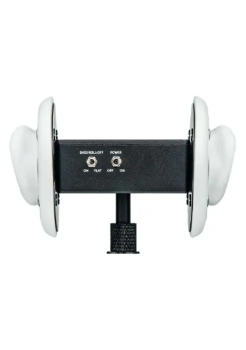 Binaural microphone ASMR
