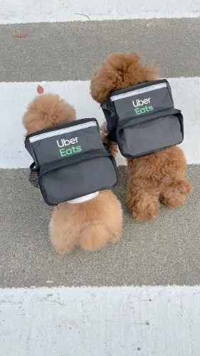 Uber Eats ($15)