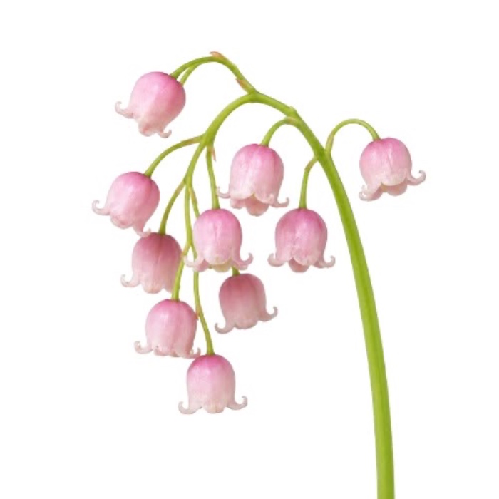 tip 20