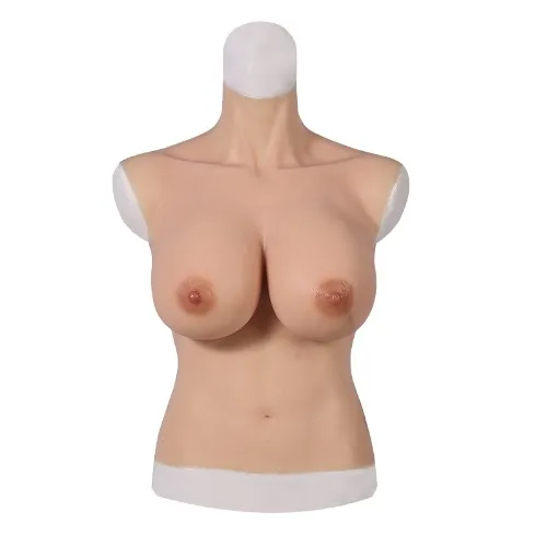  H Cup Forms