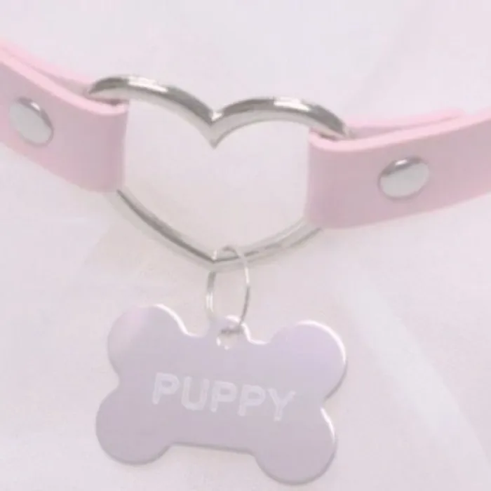 new collars for puppy