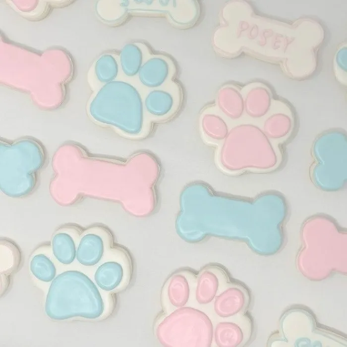 puppy bone