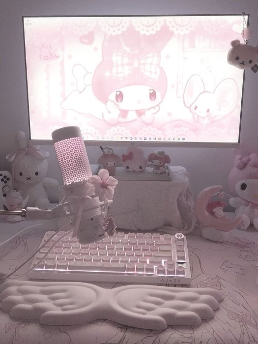 pc setup ⋆˚ʚɞ