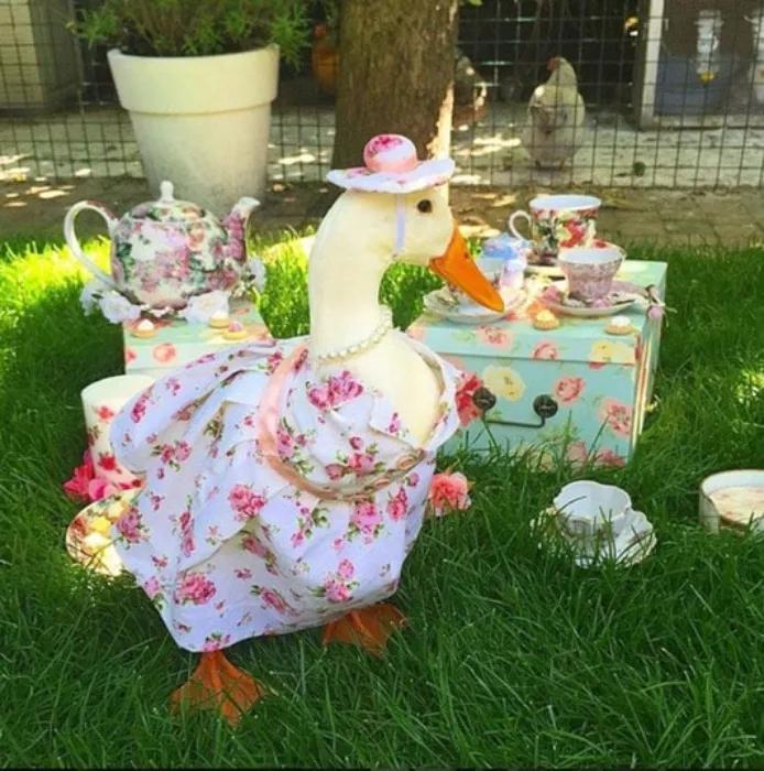 New clothes for Duccy 🦆✨