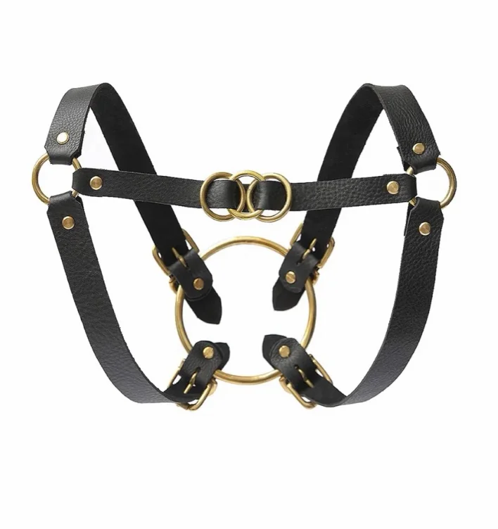 Black Leather & Brass Harness 