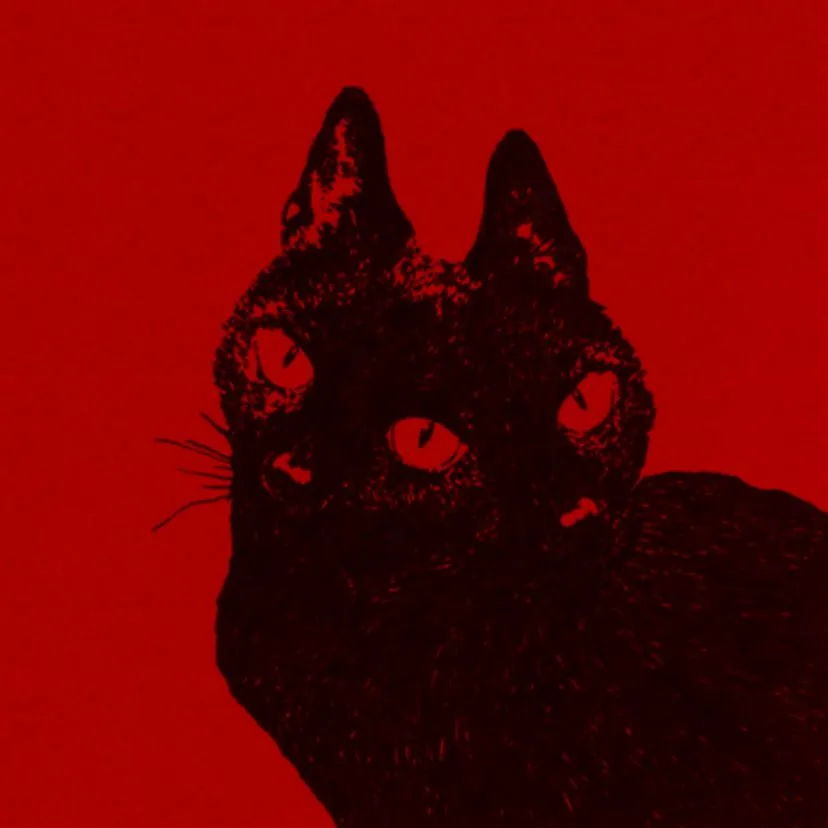 feed kitty. (222)