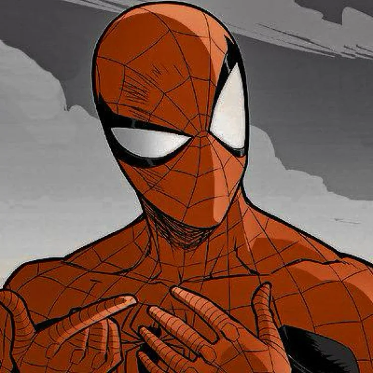 Spiderman costume