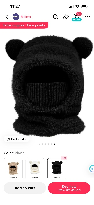 Teddy winter hat