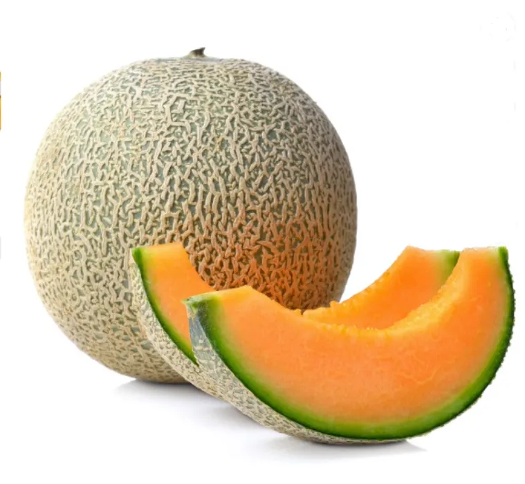 One melon