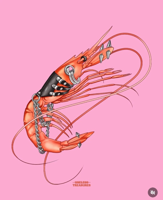 SHRIMP 🎀🦐 ♡₊˚⊹