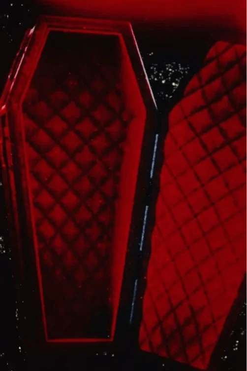 SHRIMP ❤️🦐 ♡₊˚⊹