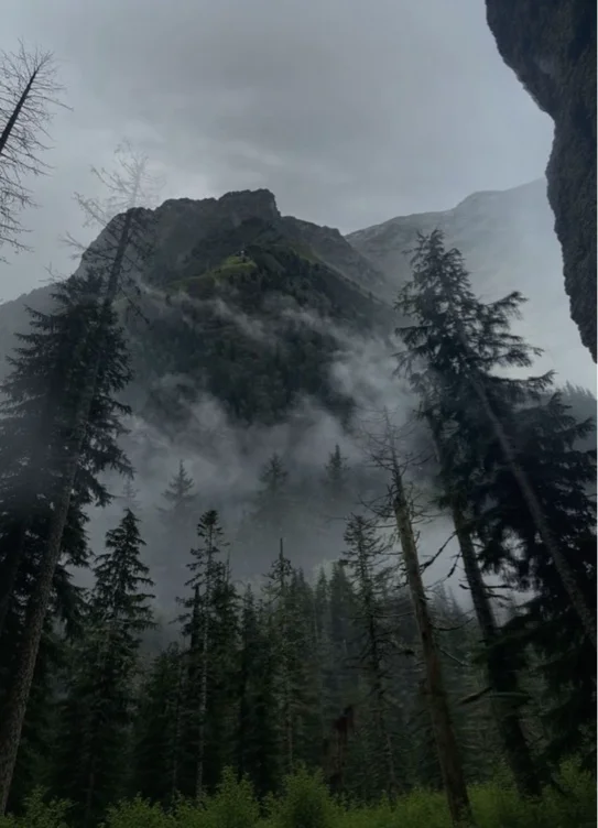 Week in the mountains ⛰️✈️🦇🖤