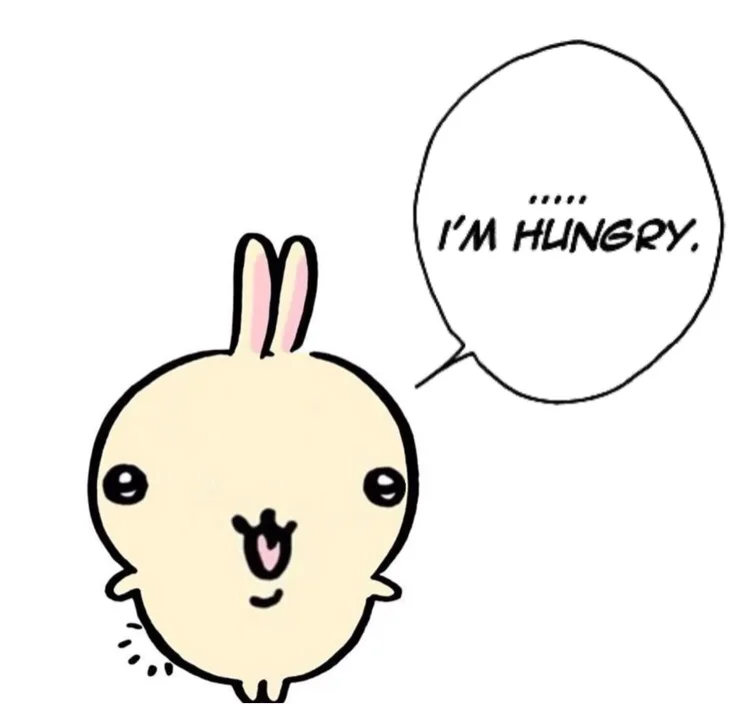 Feed Usagi 