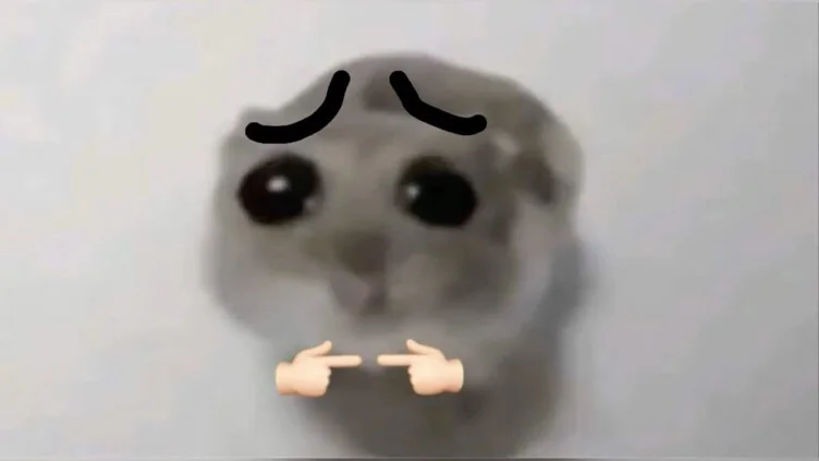 Pet the hamster 
