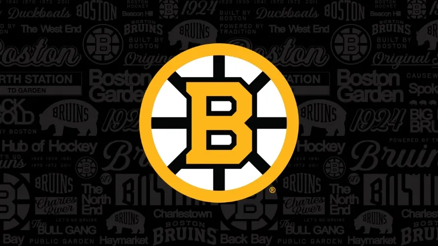 Sponsor My 1st Bruins Game