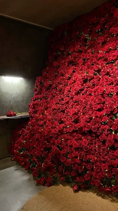 Roses 