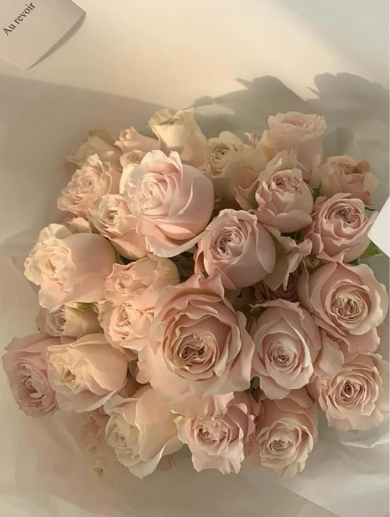 flowers🤍