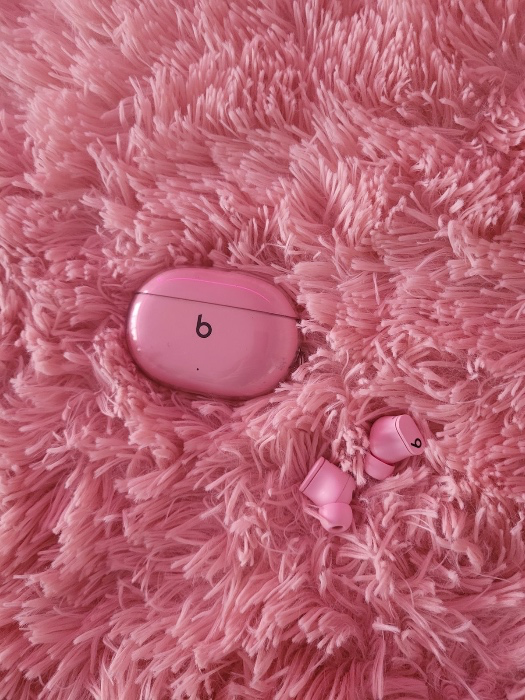 Noise-canceling earbuds
