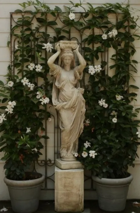 House Plant