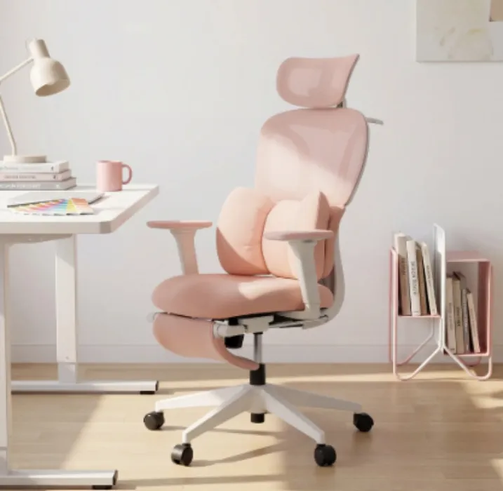 Ergonomic Executive Chair for Long Study Hours