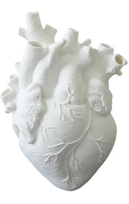 Molyorch Heart Vase Anatomical, Decoration, White