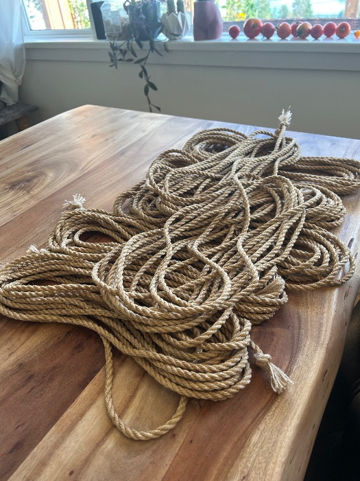 Rope Conference Entry Fees