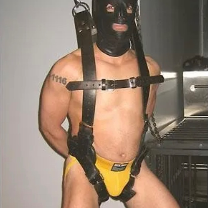Mr. S Leather Suspension Sling