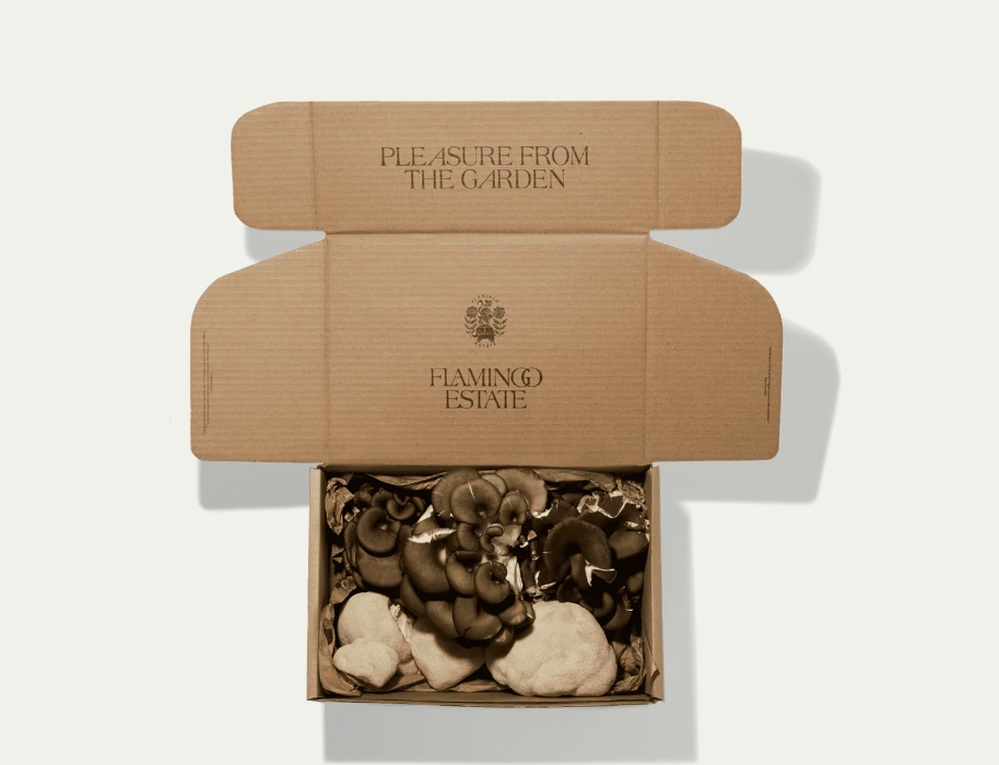 Artisanal Mushroom Box from Flamingo Estate