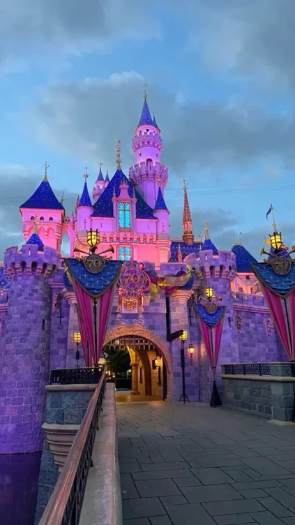 trip to disneyland