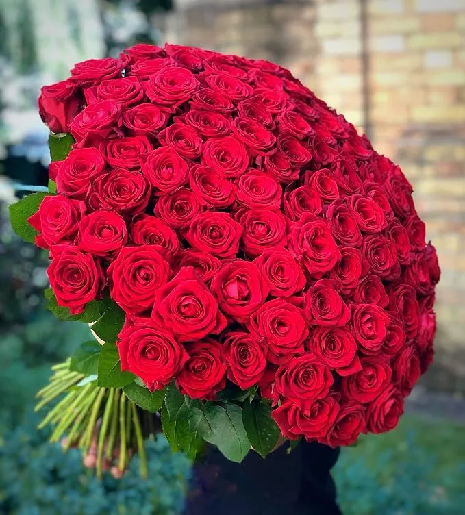 🌹🌹🌹