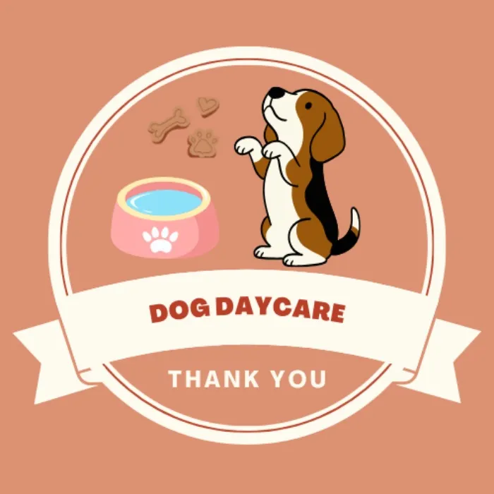 Dog Daycare