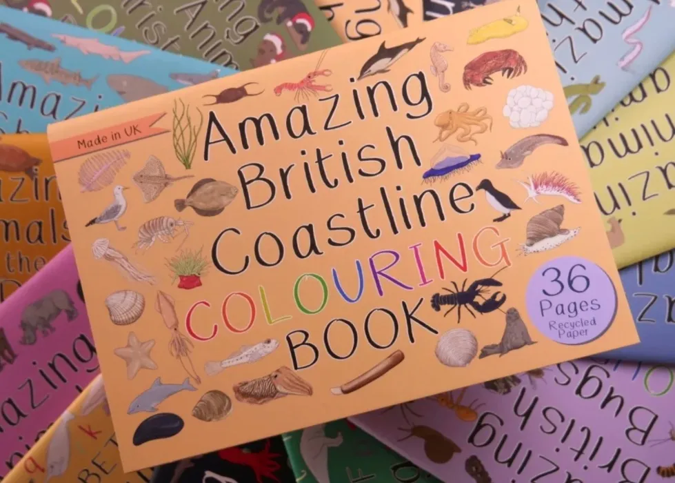 Amazing British Coastline Colouring Book