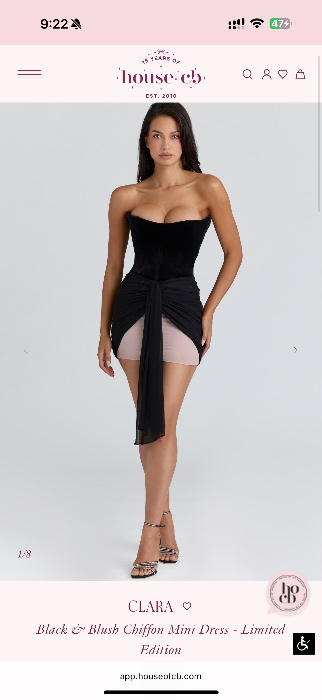 Clara Black & Blush Chiffon Mini Dress - Limited Edition